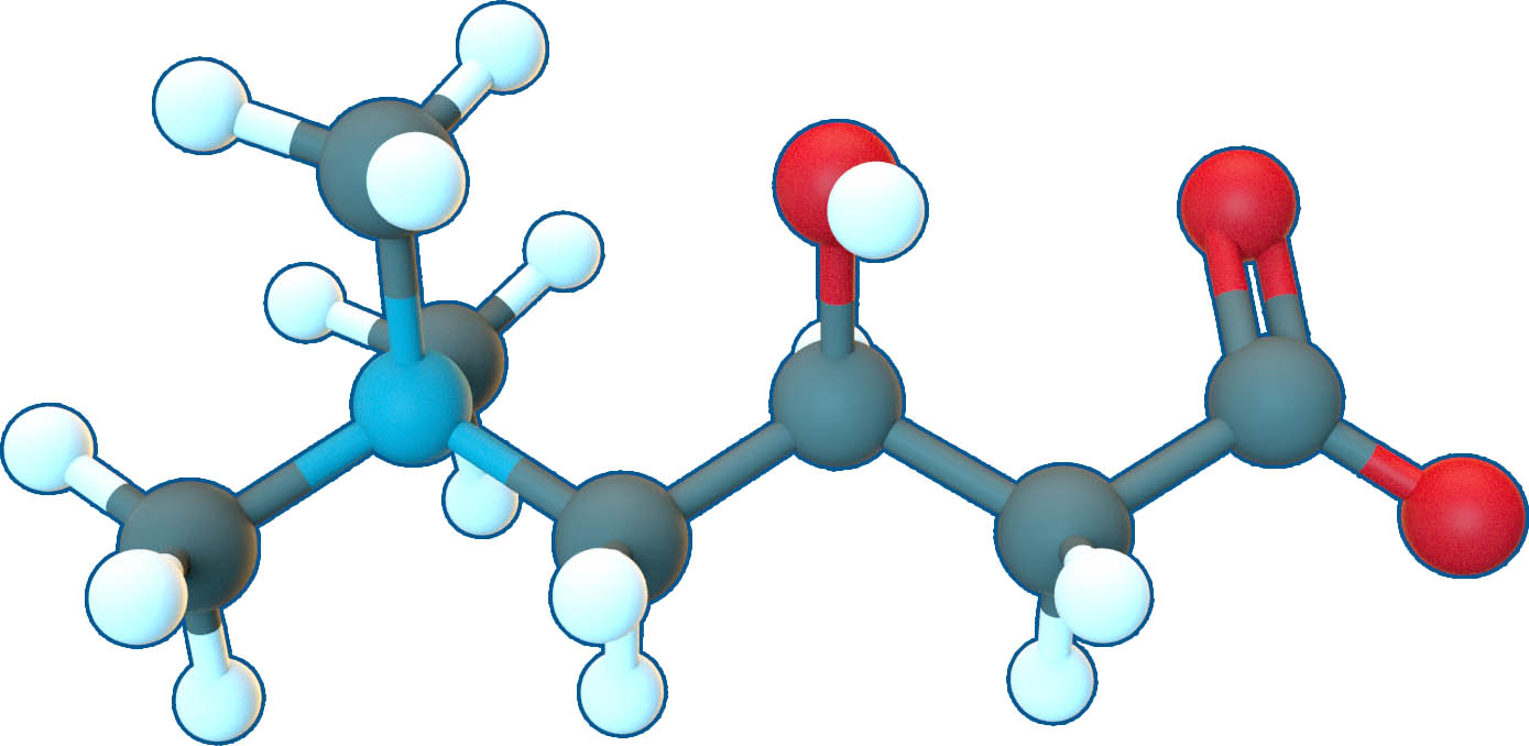 Image of L-Carnitine | C7H15NO3 | Supreme Pharmatech